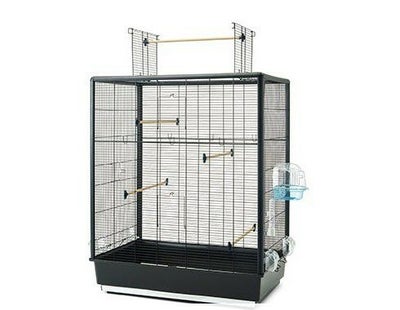 SAVIC/サヴィッチのペット用品通販ならALLFORWAN