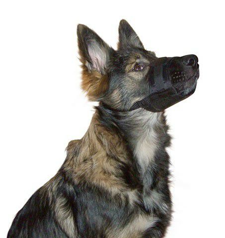 犬用 しつけグッズ PETSAFE 無駄吠え防止グッズ 小型犬用バーク