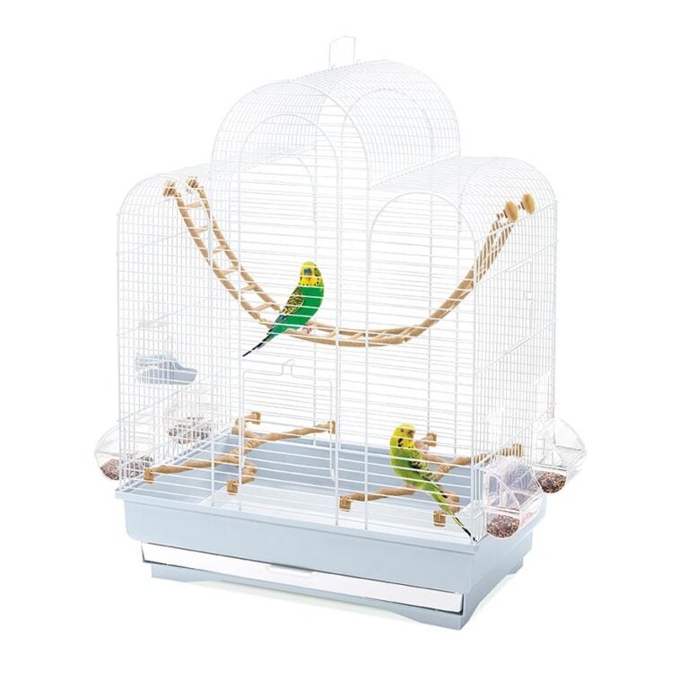 鳥用 鳥かご イタリアIMAC バードケージ フィオナグレージュ リミテッドエディション