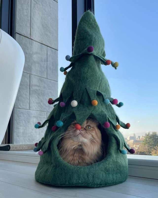 猫用 ベッド ダルマドッグカルマキャット クリスマスツリーケイブ
