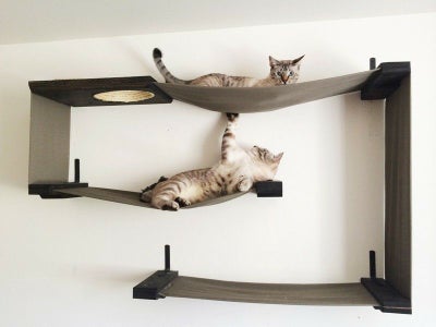 猫用 キャットタワー Catastrophic Creations 壁取り付け用 