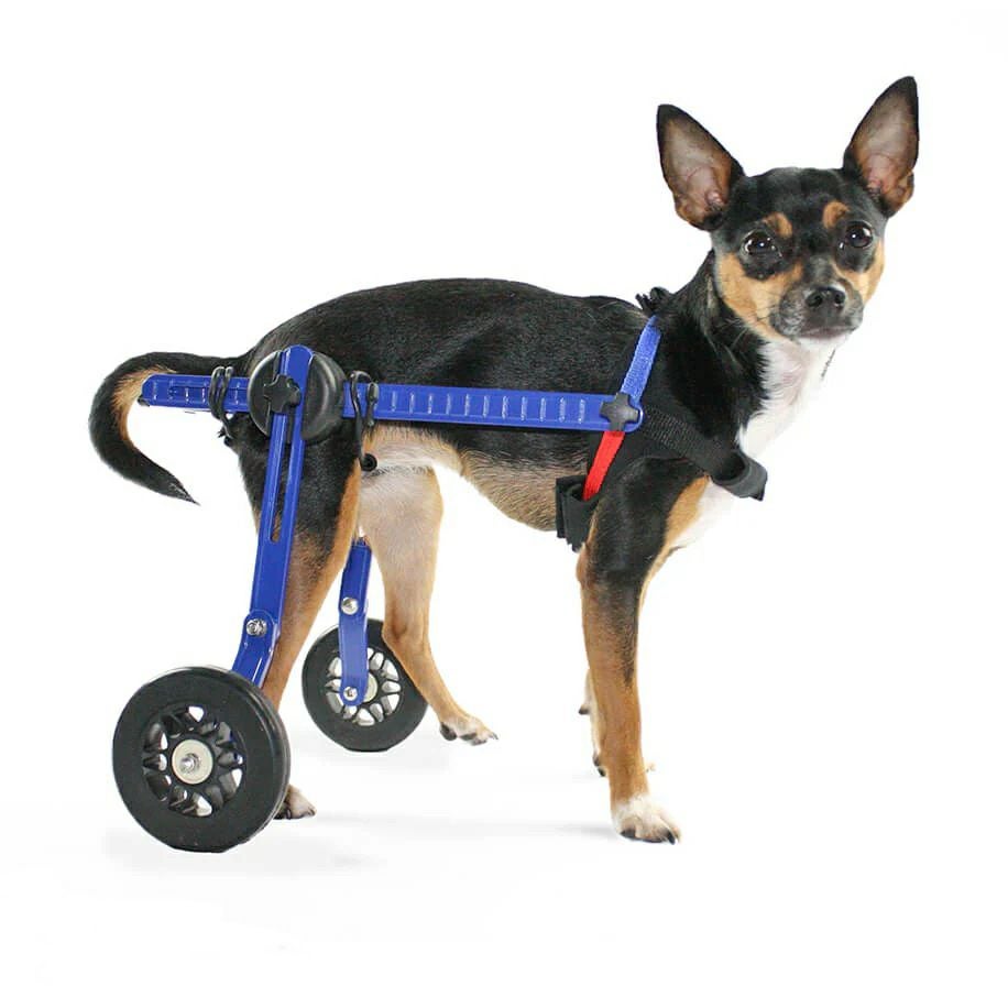 犬用 車いす 小型犬用車椅子 ウォーキンホイールズ ドッグホイール
