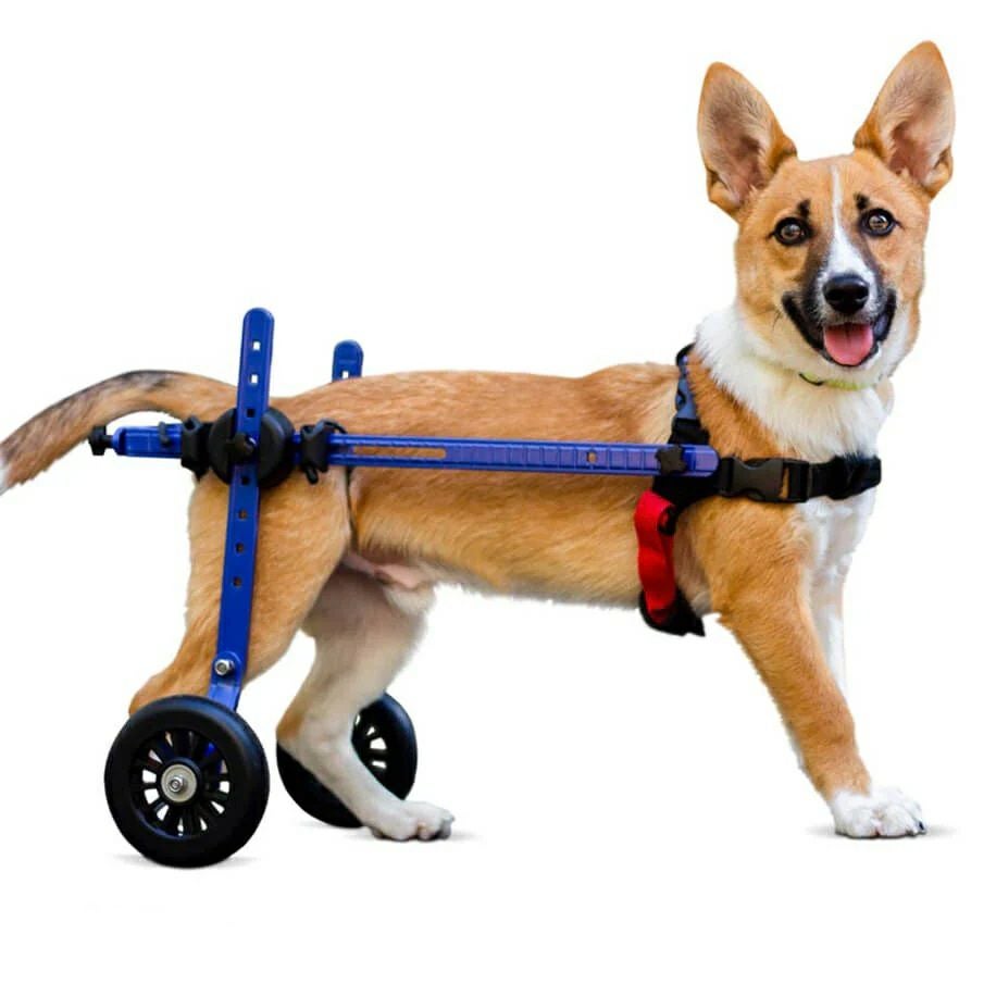 犬用 車いす 小型犬用車椅子 ウォーキンホイールズ ドッグホイール