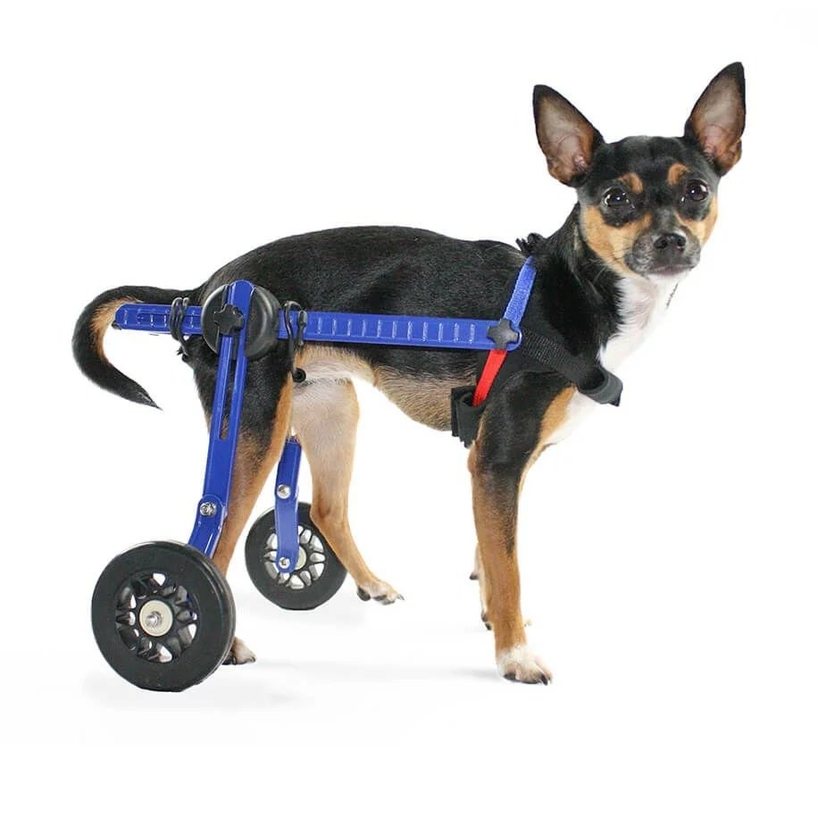 Walkin' Pets｜犬用車椅子・歩行補助・シニア犬介護用品