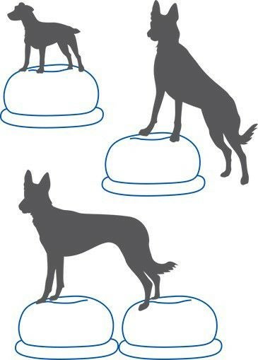 バランスボール　犬　FitPAWS　USA　PawPods パウポッド　アメリカ FitPaws Paw Pods (Set of 4)