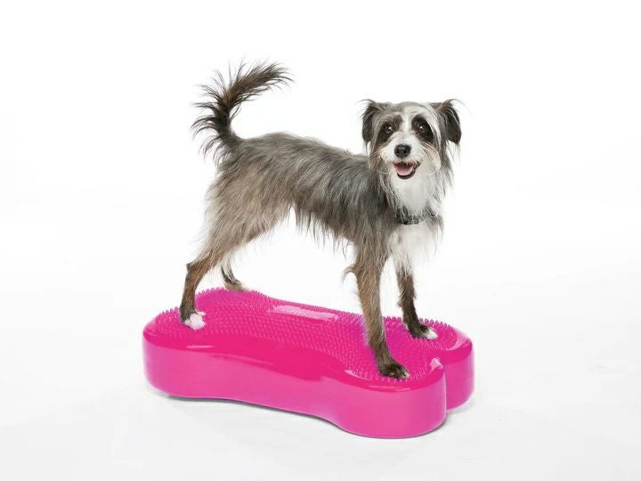 日本総輸入元】FitPAWS K9フィットボーン｜単品 犬用バランスボール