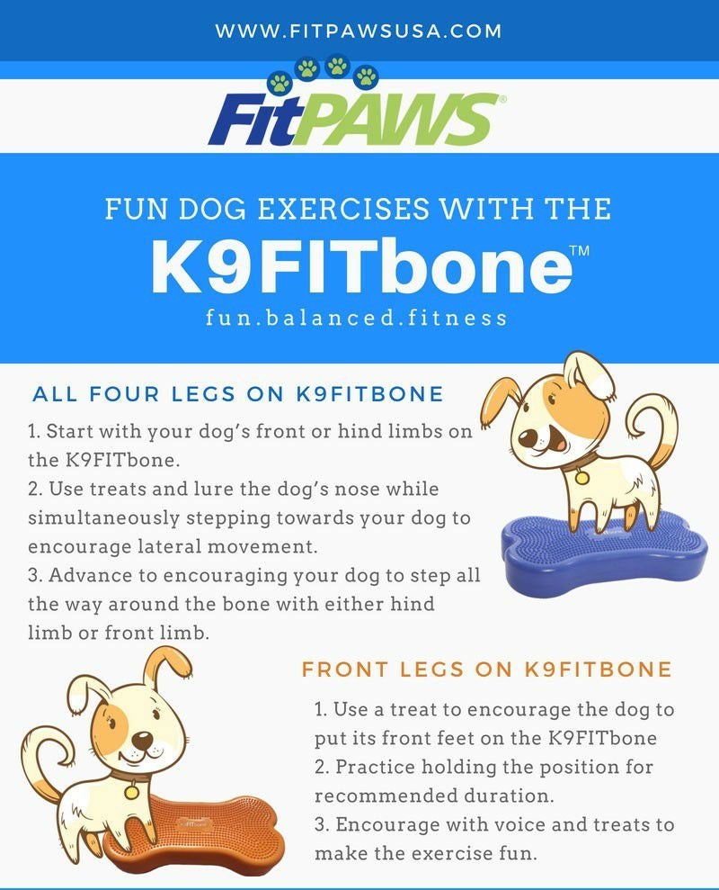 日本総輸入元】FitPAWS K9フィットボーン｜ジャイアント 90cm 犬用