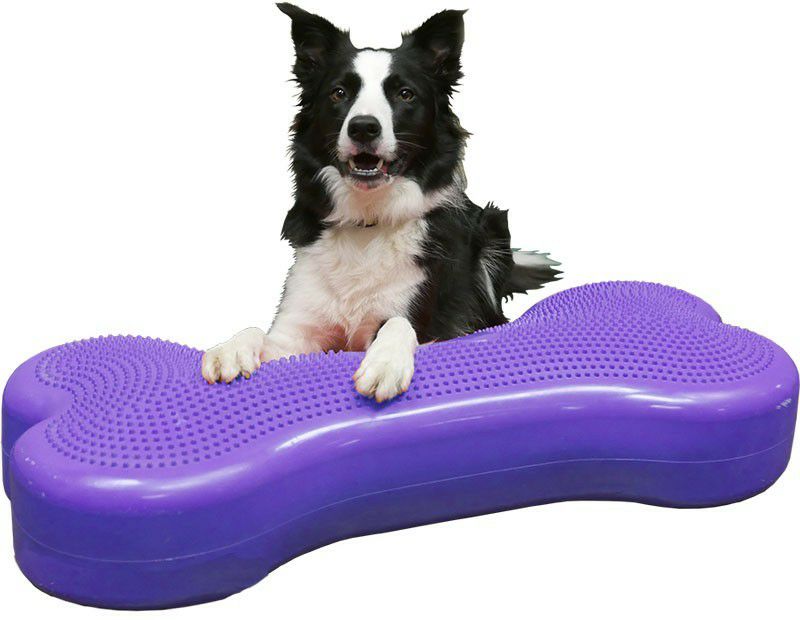 日本総輸入元】FitPAWS K9フィットボーン｜ジャイアント 90cm 犬用