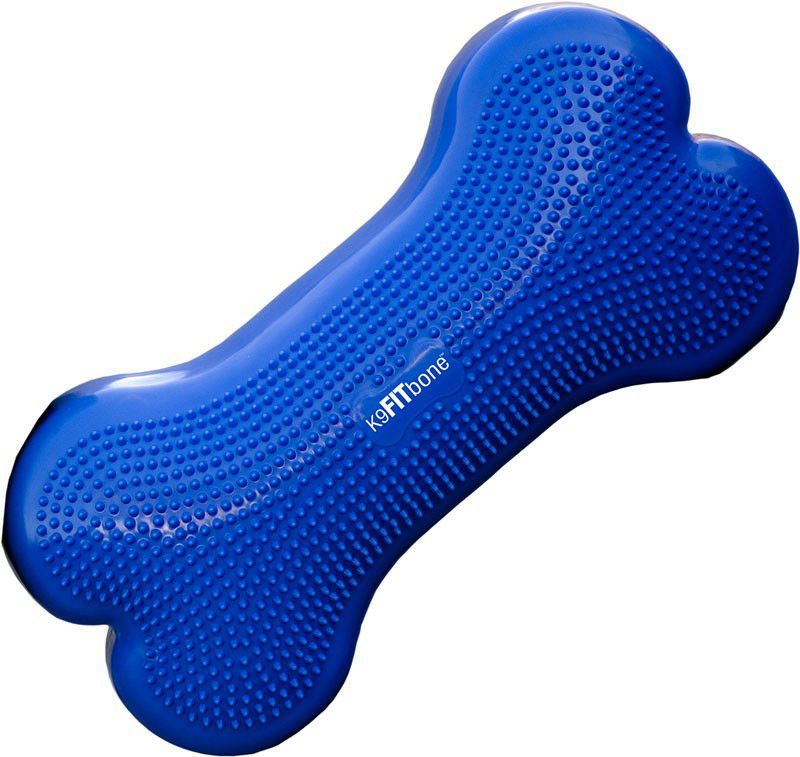犬用 アジリティグッズ FitPAWS ドッグバランスフィットネス CanineGym