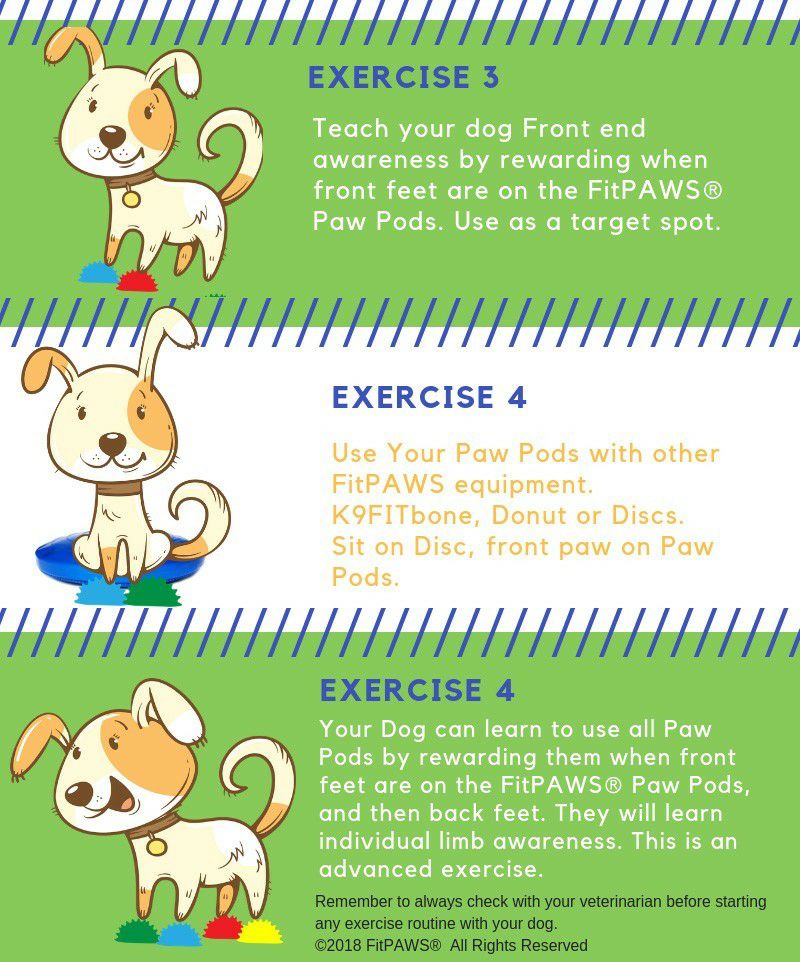 犬 体幹トレーニング FITPAWS｜犬用 バランストレーニング FitPAWS Paw
