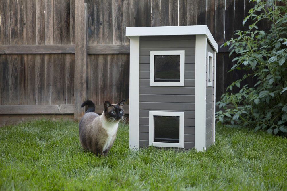 猫用 キャットハウス ニューエイジペット NEWAGEPET アルバニー