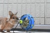 小動物用 フィーダー SAVIC  ベルギーサヴィッチ 餌箱 バニートイ
