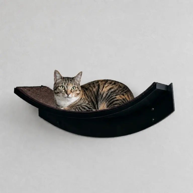 猫用 キャットタワー  Refined Feline リファインドフィーライン ロータスリーフキャットシェルフ エスプレッソ