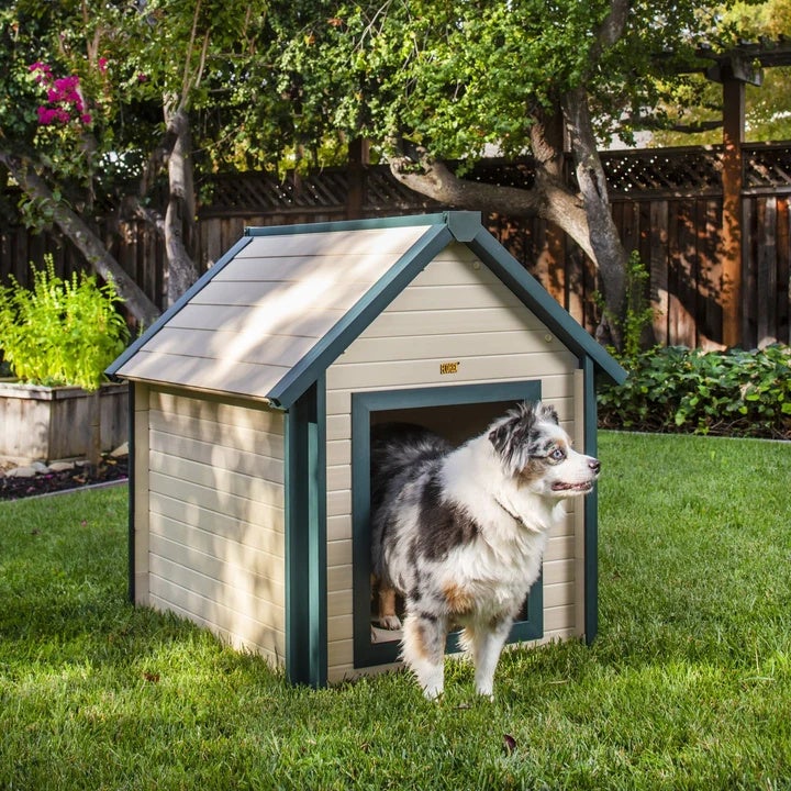 おしゃれな犬小屋｜NEW AGE PET バンクハウススタイル XL グレー 室内