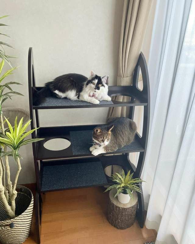 猫 タワー PENNPLAX キャットウォーク 2in1 ドア掛け 穴あき