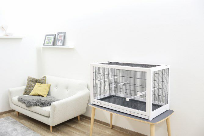 鳥用 鳥かご プレビューペット PrevuePet クリスタルプレイスリュクス
