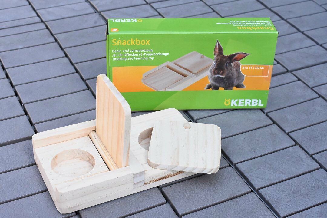 小動物用品 GEX（ジェックス） クリアフロント60 （樹脂スノコ仕様） うさぎ用