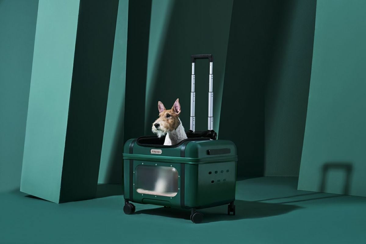 犬用 ペットカート 台湾 湾イビヤヤ ibiyaya ラバダペットトランス
