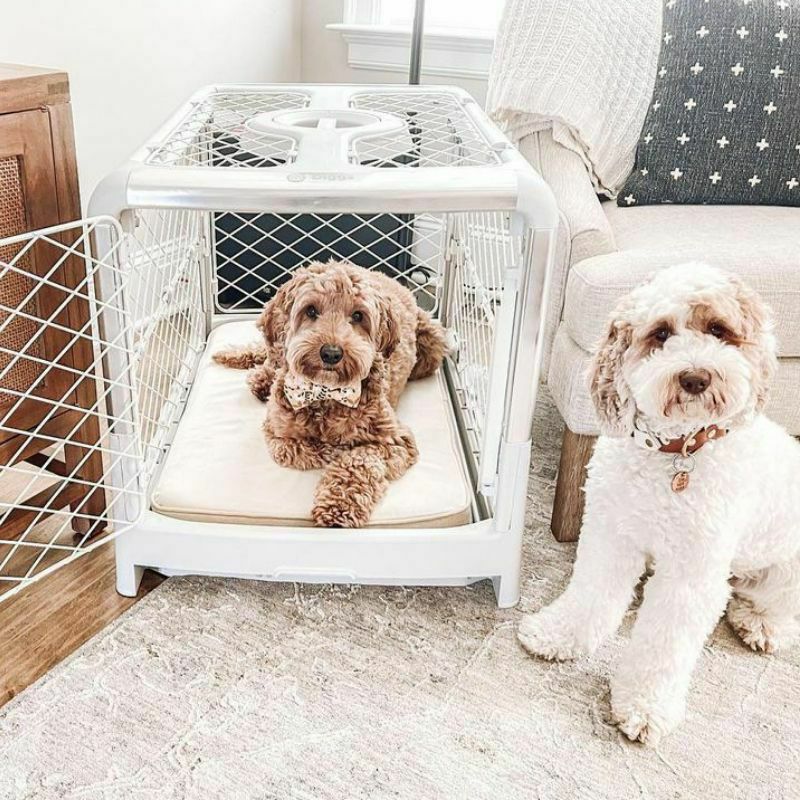 犬用 ケージ DIGGSPET 折りたたみケージ レボルクレートS アッシュ