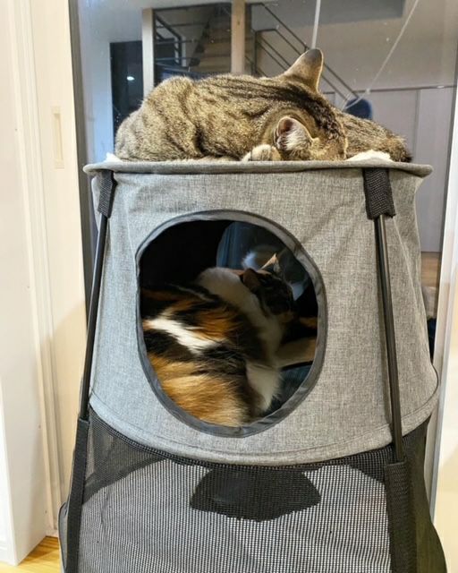 猫用 キャットタワー K&Hペットプロダクツ キティタワー ダークデニム
