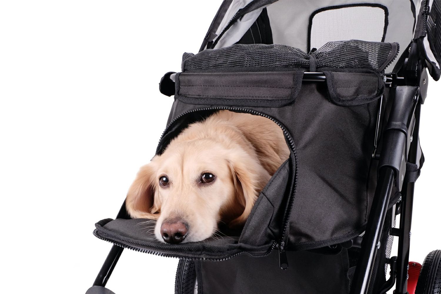 犬用カート ファーストクラスエアー３輪カート 犬用 ペットカート ibiyaya イビヤヤ ファーストクラス・エアー 3輪