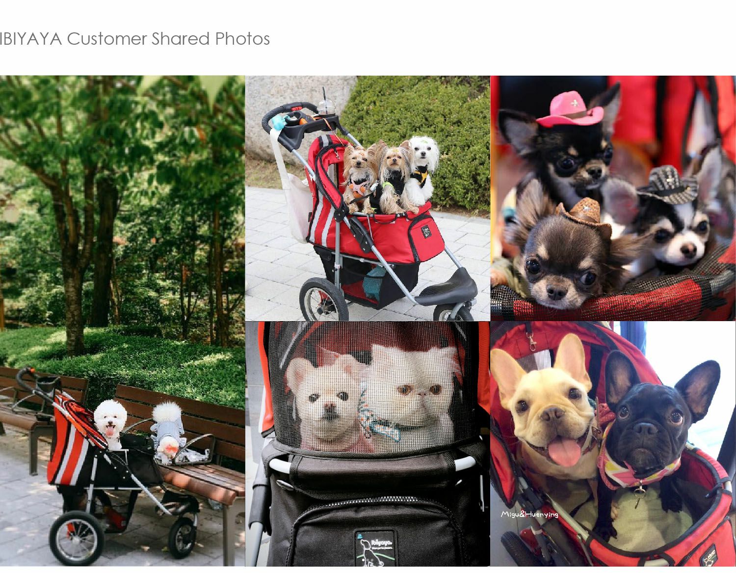 犬用 ペットカート ibiyaya イビヤヤ ファーストクラス・エアー 3輪