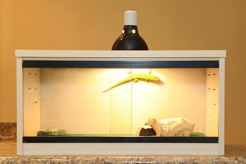 爬虫類ケージ 60cm レオパ 蛇 飼育ケース モハベレプタイルラウンジ