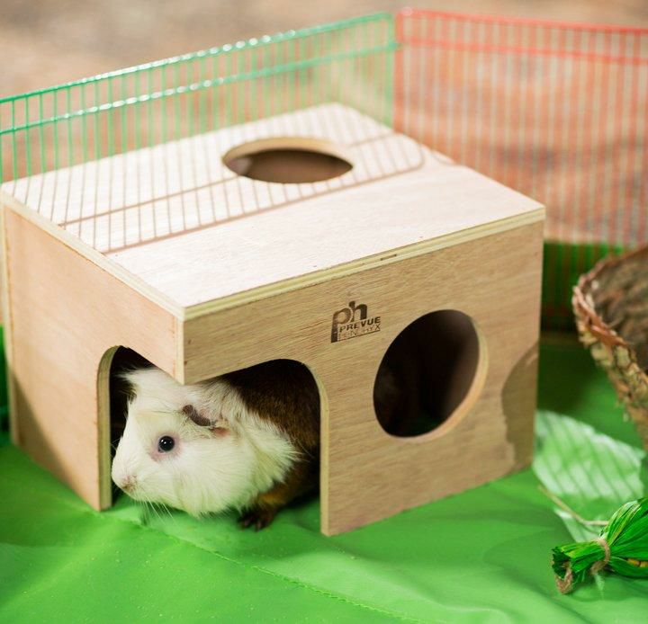 小動物用 ケージ プレビューペット ストーリーヘブンハムスターケージ 小動物用 ケージ プレビューペット PrevuePet ストーリーヘブン