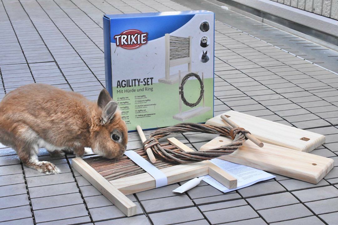 小動物用 おもちゃ TRIXIE トリクシー ラビットアジリティセット