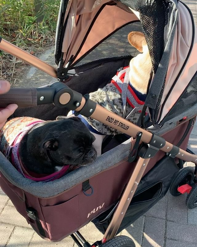 犬用 ペットカート ENZO ペットストローラー PUV タープ ENZOPETSTOROLLER