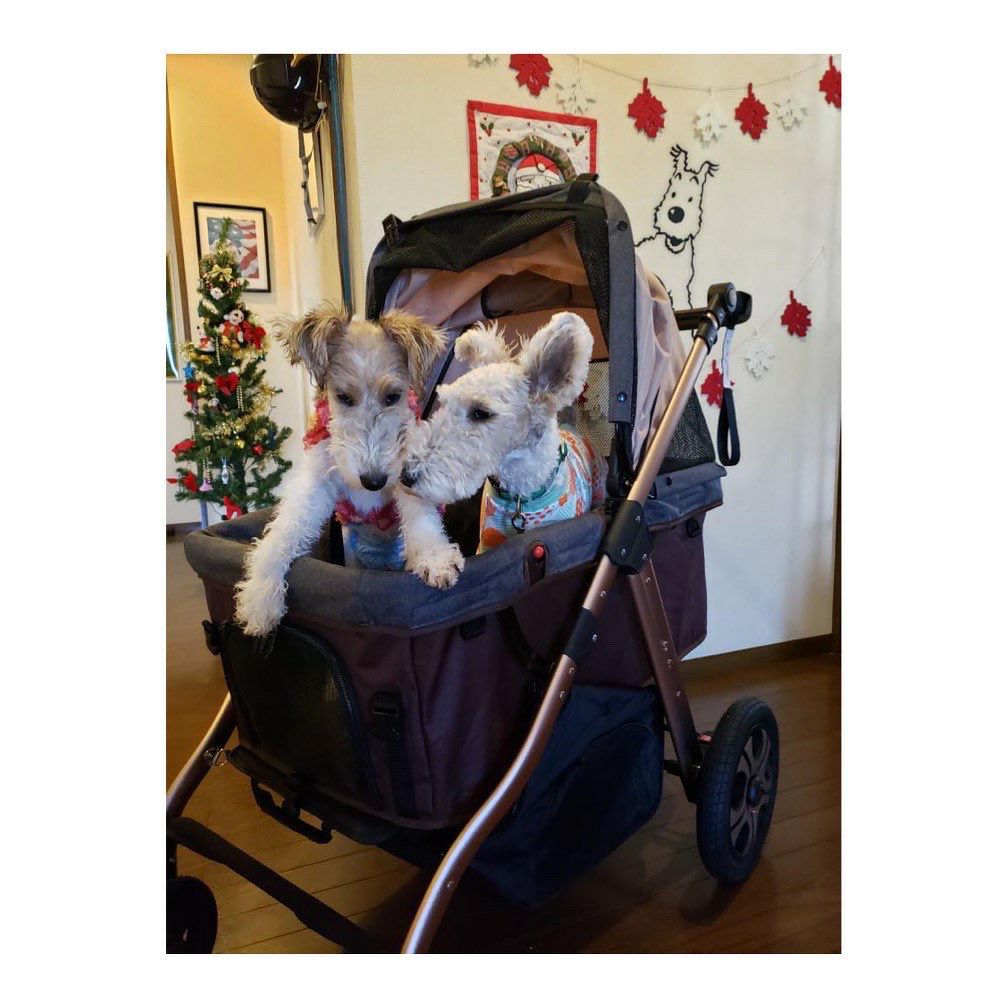 犬用 ペットカート ENZO ペットストローラー PUV タープ