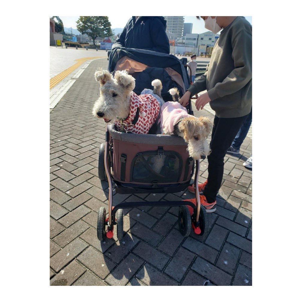 犬用 ペットカート ENZO ペットストローラー PUV タープ