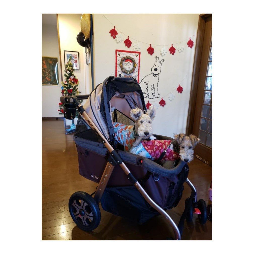 犬用 ペットカート ENZO ペットストローラー PUV タープ