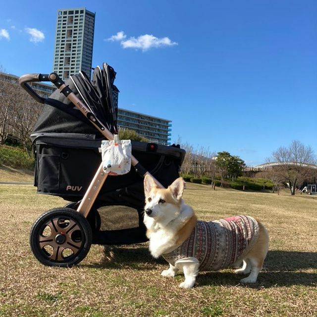 犬用 ペットカート ENZO ペットストローラー PUV タープ