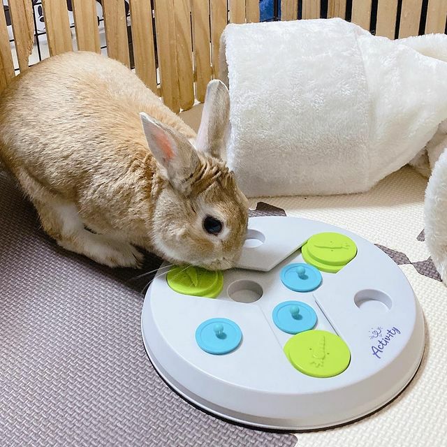 TRIXIE（トリクシー）小動物用品｜ハムスター・モルモット・ウサギ