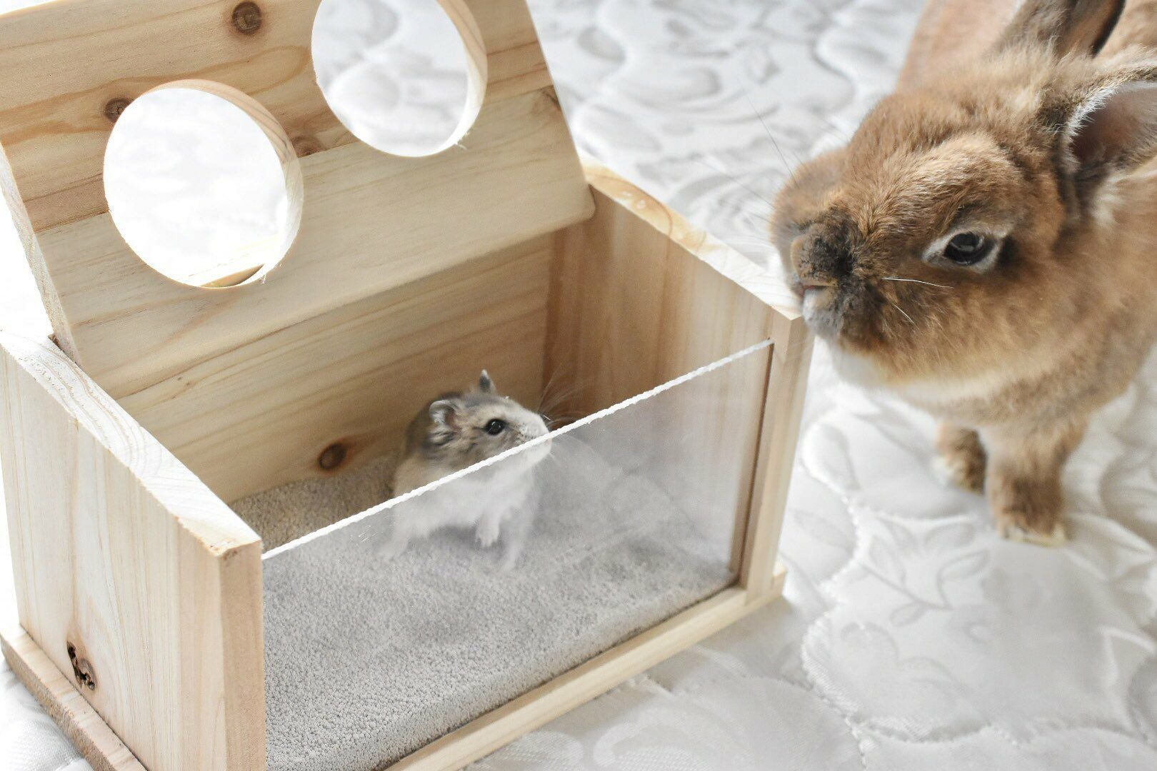 TRIXIE 小動物用品｜うさぎ・小鳥用木製ハウス・おもちゃ