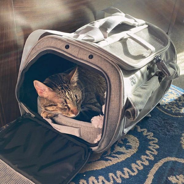 猫 キャリーバッグ｜猫用 キャリーリュック YOUR CAT BACKPACK The Transp