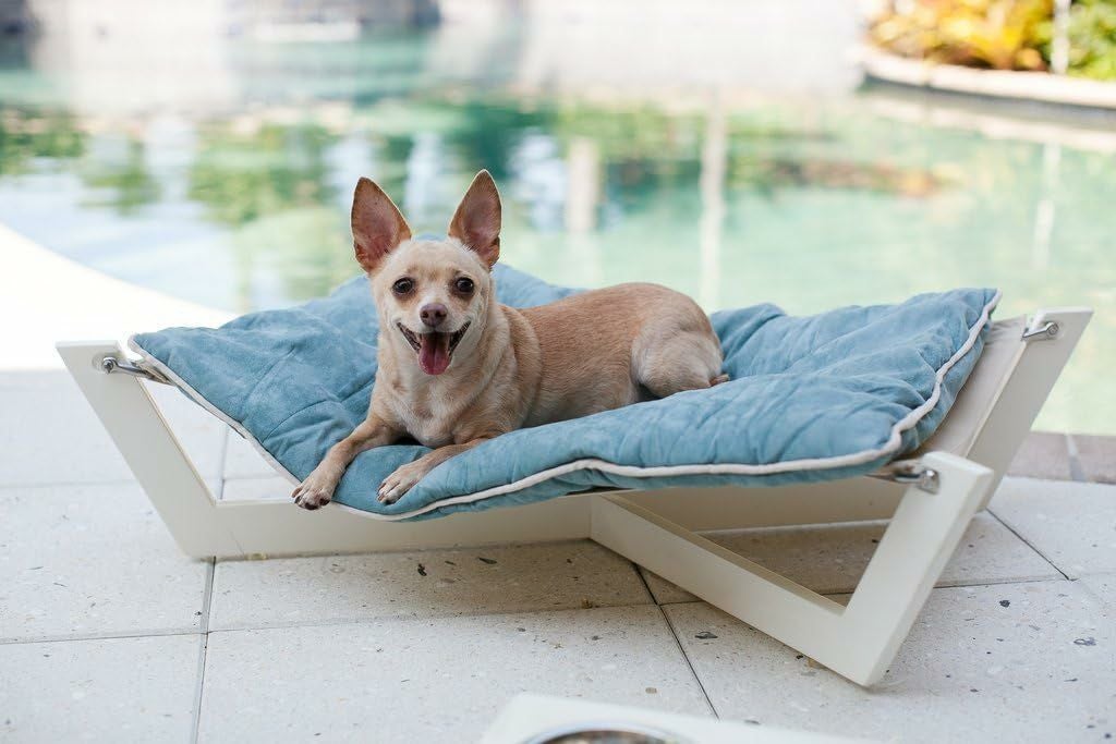 犬用 ハンモック ペットラウンジスタジオ ホワイトウッドハンモック1