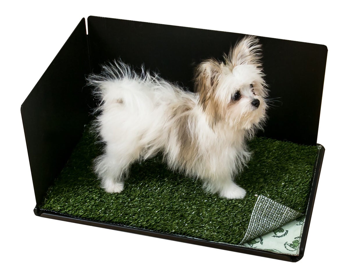 犬用 ペットシーツ プーチパッド インドアターフドッグポッティクラシックプレミア Connectable Tray/Pad w/ Turf & Hike Shield