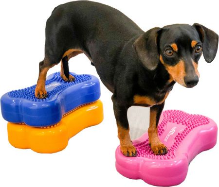 k9FITbone Mini 2個セット 犬用 体幹トレーニング｜FitPAWS CanineGym K9FITbone MINI ラズベリー