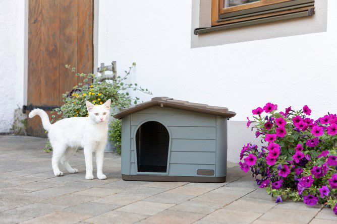 屋外用キャットハウス通販｜外猫小屋・防寒・防水・腐らないECOFLEX