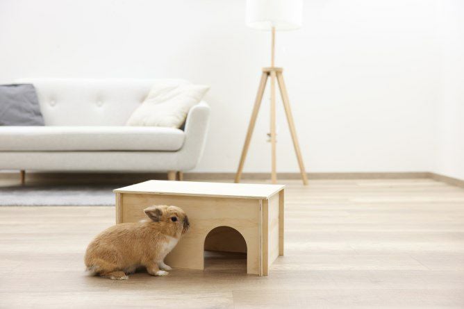 うさぎ ハウス KERBL ハウス ロデントキャビン 小動物用