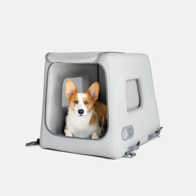 ディグスペット/DIGGSPETのペット用品通販ならALLFORWAN'sLIFE