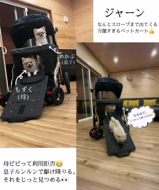 ペット用品★最終破格おまとめ販売！！ Amazon | 【破れにくい＆丸洗い】 La nature et paix ペットベッド 犬