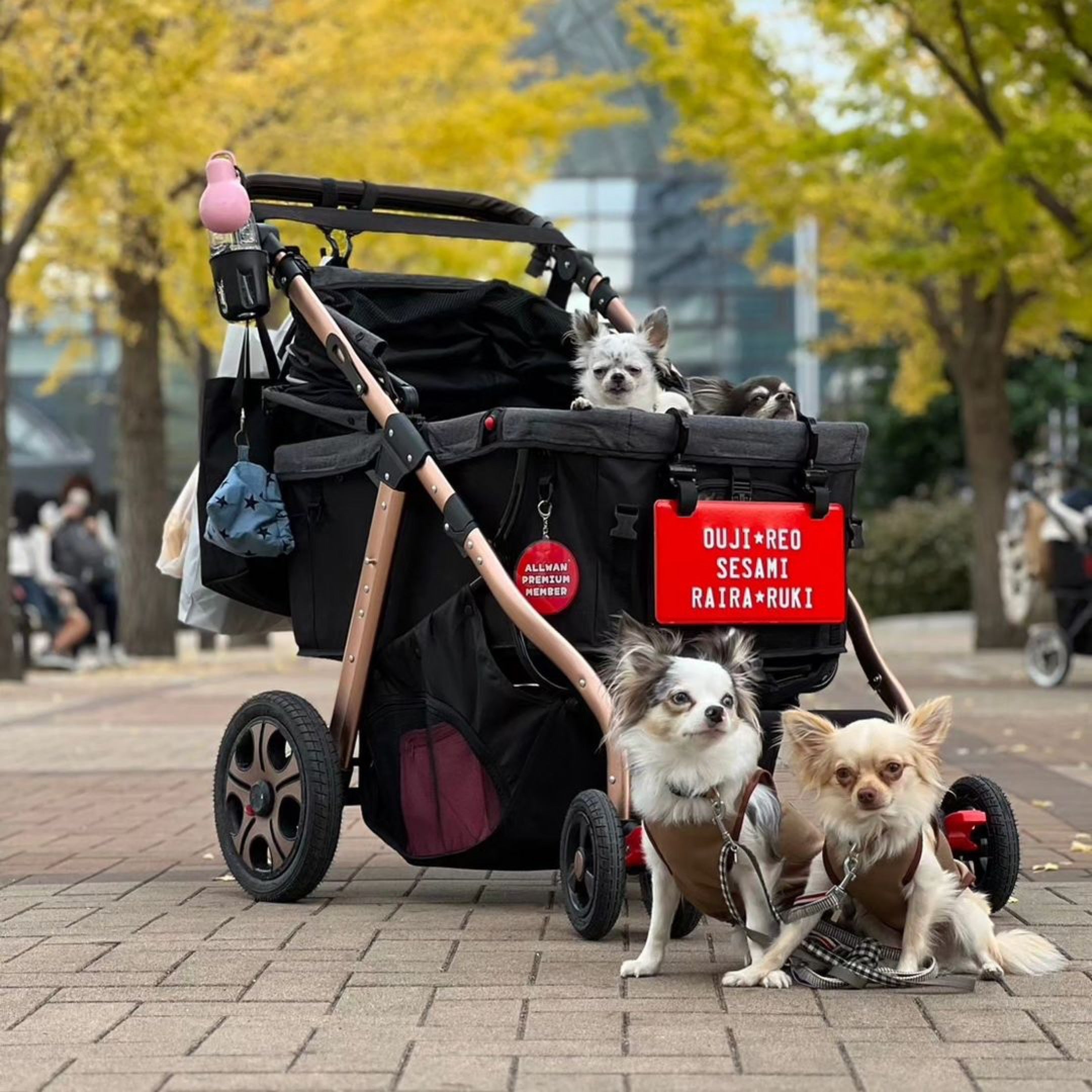 ALLWAN PREMIUM｜大型犬・多頭飼い用ペットカート