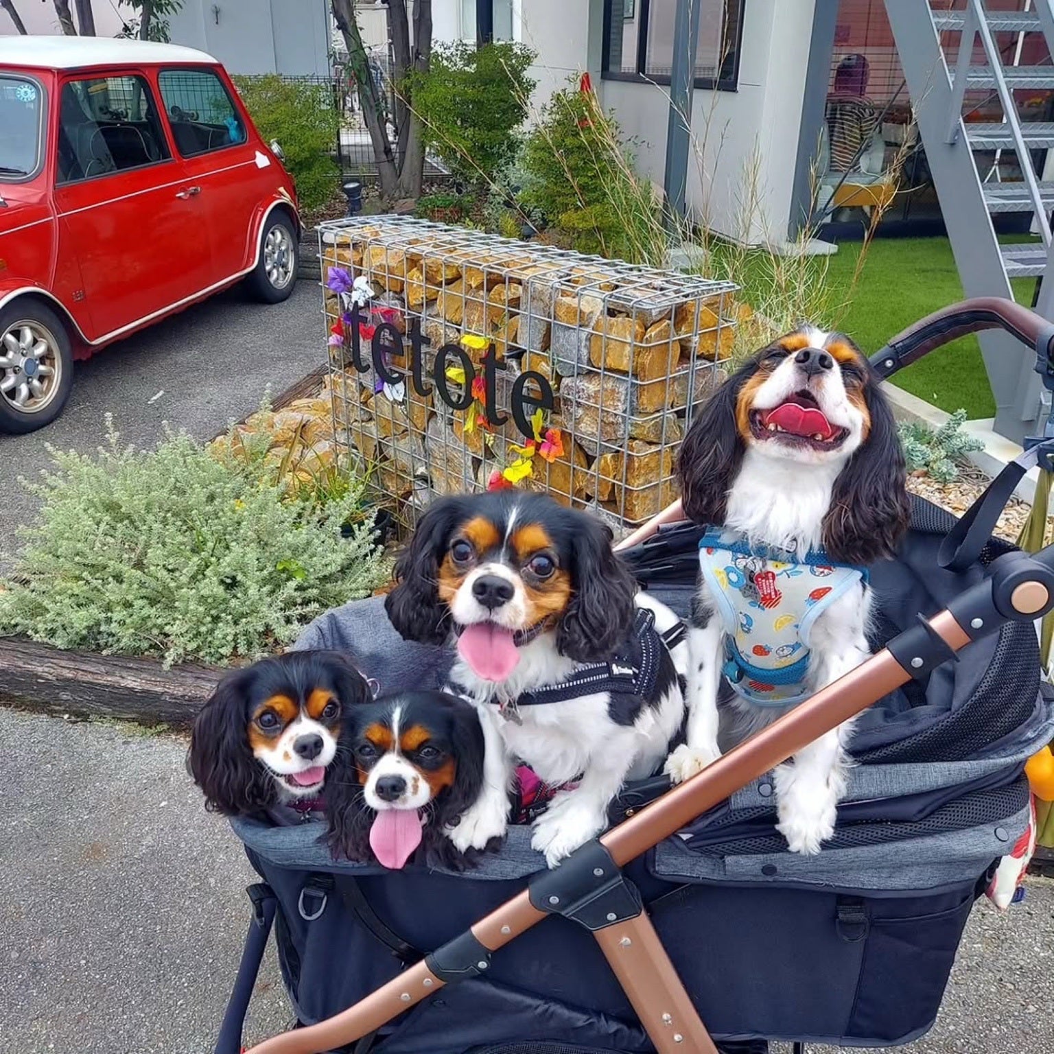 大型犬用ペットカート｜耐荷重45kg・スロープ付き ALLWAN PREMIUM