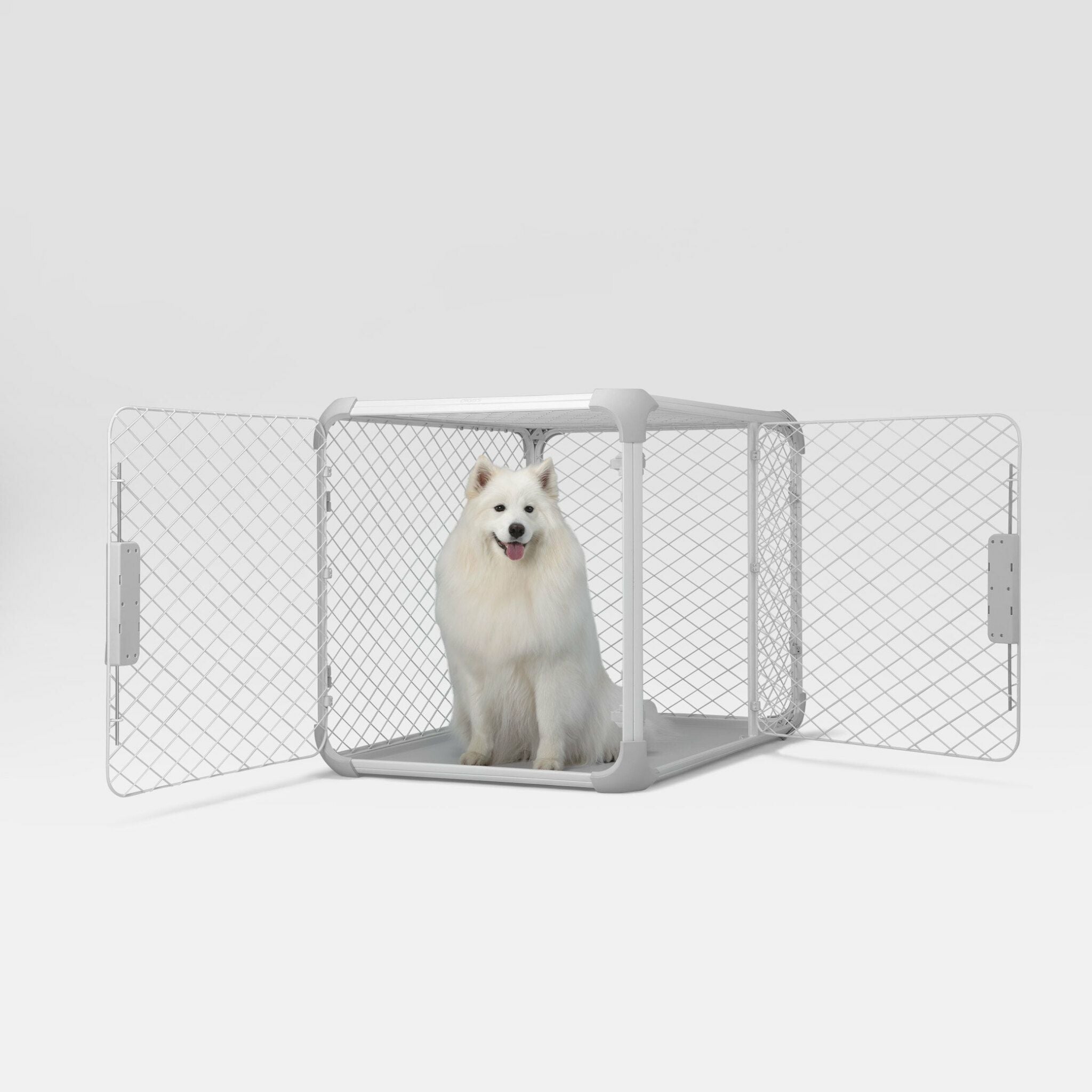 ディグスペット/DIGGSPETのペット用品通販ならALLFORWAN'sLIFE