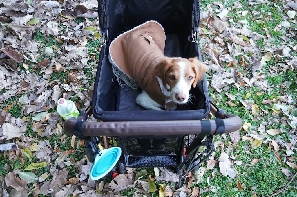 ペットカート　中型犬向け　　ALLWAN FREEDOM ペットカート 中型犬向け ALLWAN FREEDOM 【公式通販】