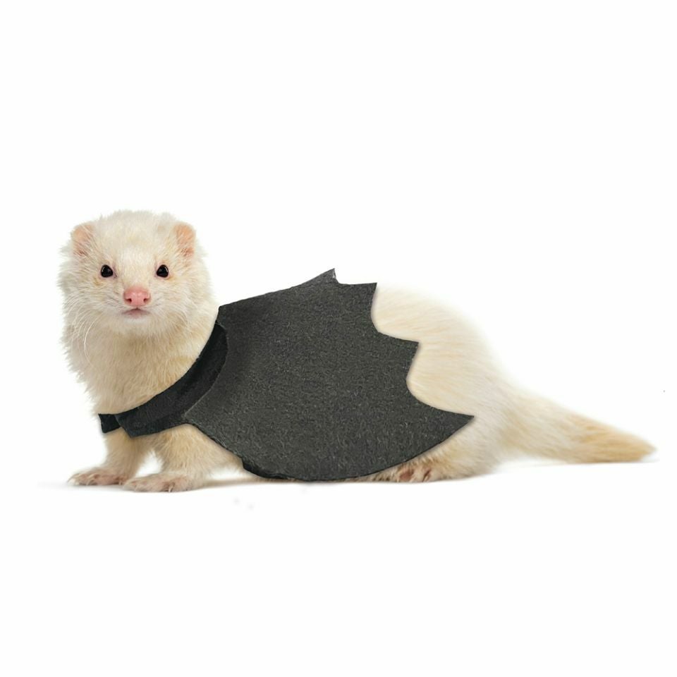 フェレット用品の通販ページ 海外のペット用品ブランドならALLFORWAN