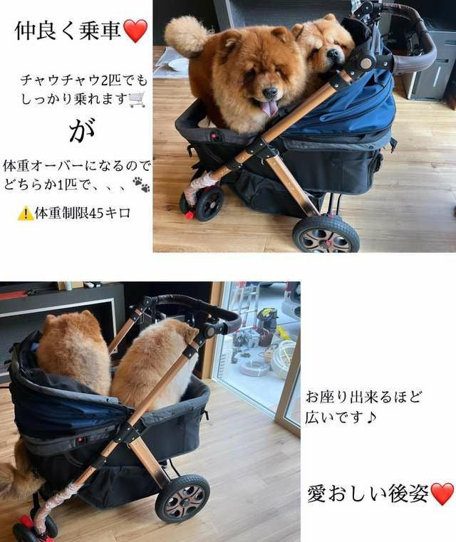 犬用 ペットカート ALLWAN ペットストローラー オールワンプレミアム